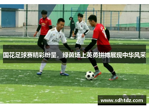 国花足球赛精彩纷呈，绿茵场上英勇拼搏展现中华风采
